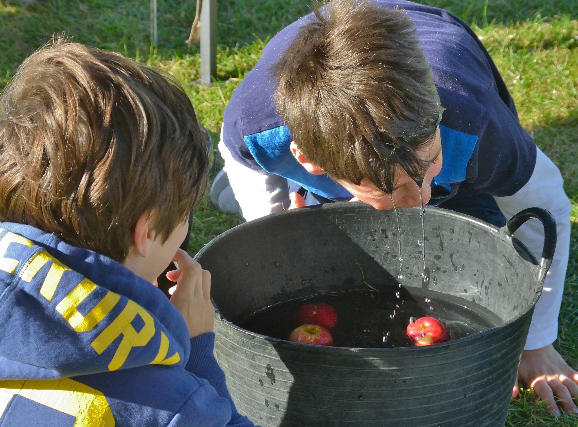 Fun at apple day